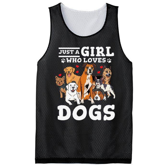 Boxer Dog Just a Who Loves Dogs Mesh Reversible Basketball Jersey Tank