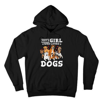 Boxer Dog Just a Who Loves Dogs Tall Hoodie