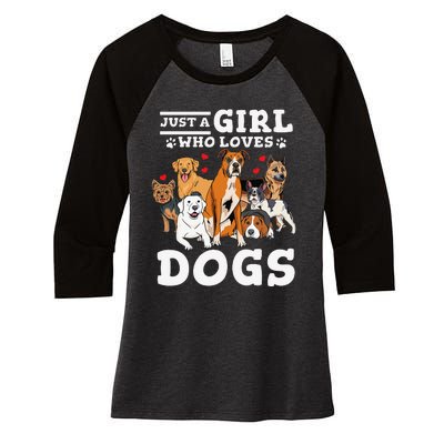 Boxer Dog Just a Who Loves Dogs Women's Tri-Blend 3/4-Sleeve Raglan Shirt