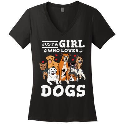 Boxer Dog Just a Who Loves Dogs Women's V-Neck T-Shirt