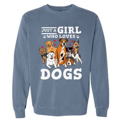 Boxer Dog Just a Who Loves Dogs Garment-Dyed Sweatshirt