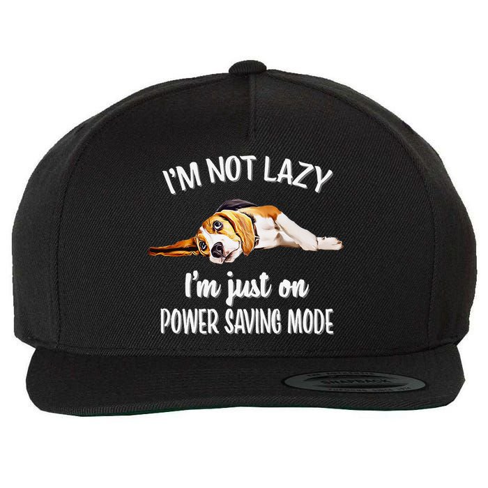 Beagle Dog Lover Tee Funny Beagle Wool Snapback Cap