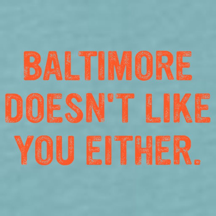 Baltimore DoesnT Like You Either Apparel Sueded Cloud Jersey T-Shirt