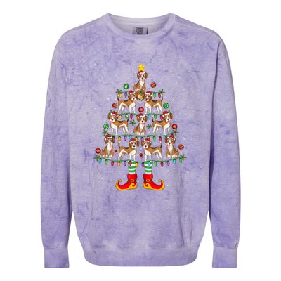 Beagle Dog Lover Xmas Holiday Lighting Beagle Christmas Tree Cool Gift Colorblast Crewneck Sweatshirt