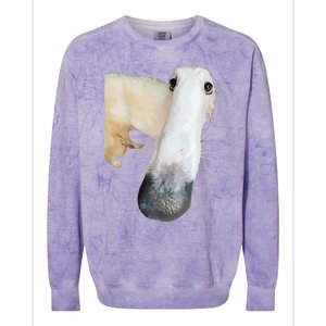 Borzoi Dog Meme Funny Long Nose Borzoi Russian Sighthound Colorblast Crewneck Sweatshirt