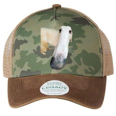 Borzoi Dog Meme Funny Long Nose Borzoi Russian Sighthound Legacy Tie Dye Trucker Hat