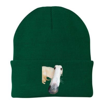 Borzoi Dog Meme Funny Long Nose Borzoi Russian Sighthound Knit Cap Winter Beanie