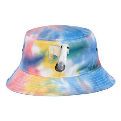 Borzoi Dog Meme Funny Long Nose Borzoi Russian Sighthound Tie Dye Newport Bucket Hat