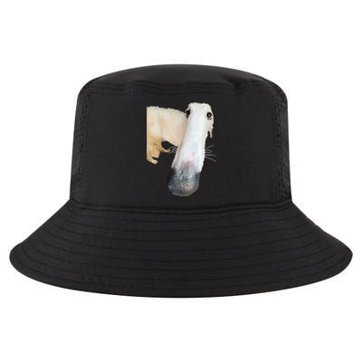 Borzoi Dog Meme Funny Long Nose Borzoi Russian Sighthound Cool Comfort Performance Bucket Hat