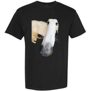 Borzoi Dog Meme Funny Long Nose Borzoi Russian Sighthound Garment-Dyed Heavyweight T-Shirt