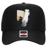 Borzoi Dog Meme Funny Long Nose Borzoi Russian Sighthound High Crown Mesh Back Trucker Hat