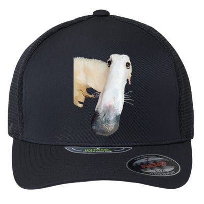 Borzoi Dog Meme Funny Long Nose Borzoi Russian Sighthound Flexfit Unipanel Trucker Cap