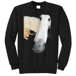 Borzoi Dog Meme Funny Long Nose Borzoi Russian Sighthound Sweatshirt