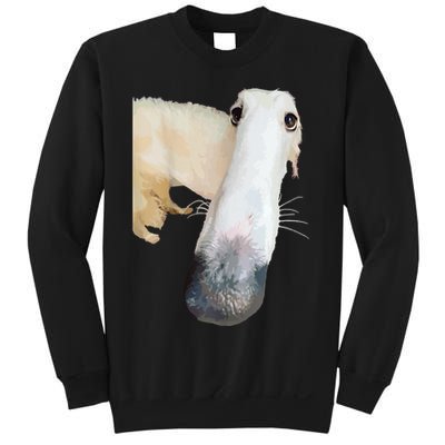 Borzoi Dog Meme Funny Long Nose Borzoi Russian Sighthound Sweatshirt