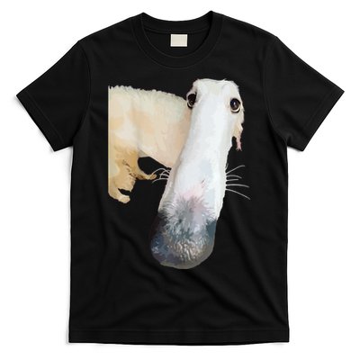 Borzoi Dog Meme Funny Long Nose Borzoi Russian Sighthound T-Shirt
