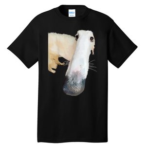 Borzoi Dog Meme Funny Long Nose Borzoi Russian Sighthound Tall T-Shirt