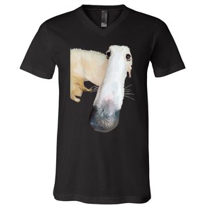 Borzoi Dog Meme Funny Long Nose Borzoi Russian Sighthound V-Neck T-Shirt