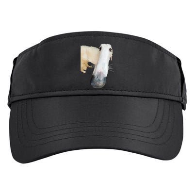 Borzoi Dog Meme Funny Long Nose Borzoi Russian Sighthound Adult Drive Performance Visor