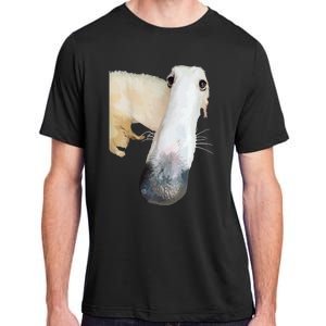 Borzoi Dog Meme Funny Long Nose Borzoi Russian Sighthound Adult ChromaSoft Performance T-Shirt