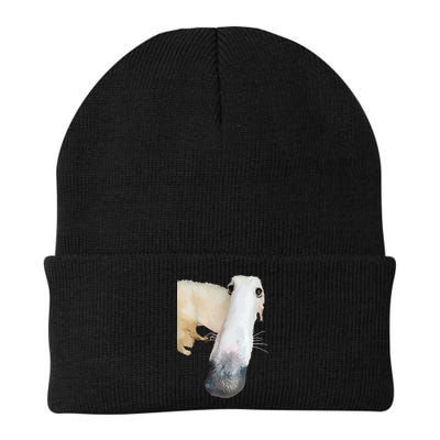 Borzoi Dog Meme Funny Long Nose Borzoi Russian Sighthound Beanie