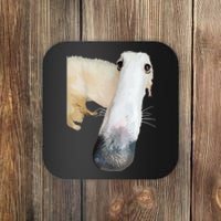 Borzoi Dog Meme Funny Long Nose Borzoi Russian Sighthound Coaster