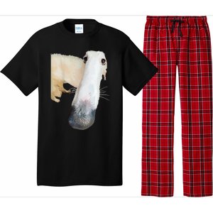 Borzoi Dog Meme Funny Long Nose Borzoi Russian Sighthound Pajama Set