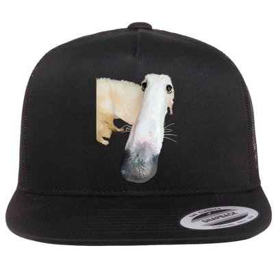 Borzoi Dog Meme Funny Long Nose Borzoi Russian Sighthound Flat Bill Trucker Hat