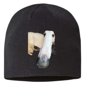 Borzoi Dog Meme Funny Long Nose Borzoi Russian Sighthound Sustainable Beanie