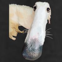 Borzoi Dog Meme Funny Long Nose Borzoi Russian Sighthound Hat