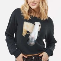 Borzoi Dog Meme Funny Long Nose Borzoi Russian Sighthound Cropped Pullover Crew