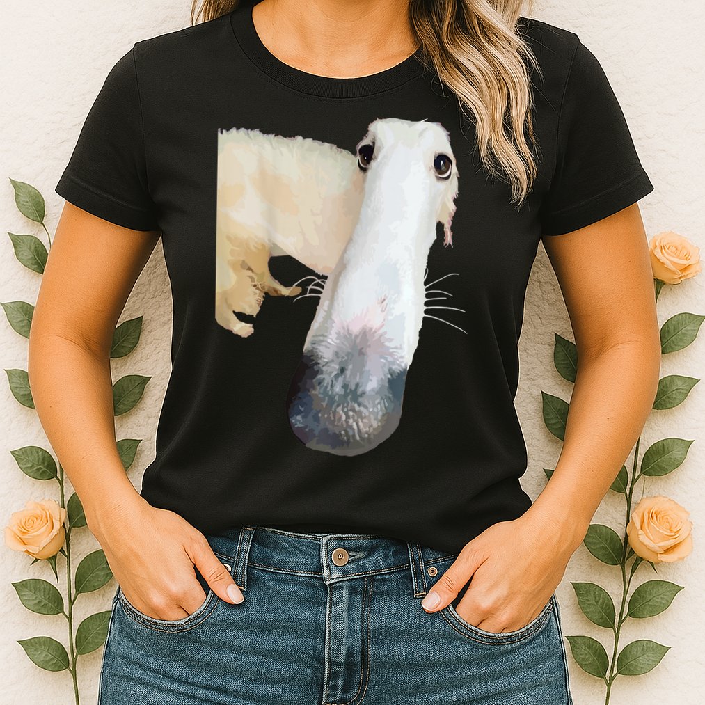 Borzoi Dog Meme Funny Long Nose Borzoi Russian Sighthound Womens T-Shirt