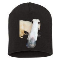 Borzoi Dog Meme Funny Long Nose Borzoi Russian Sighthound Short Acrylic Beanie