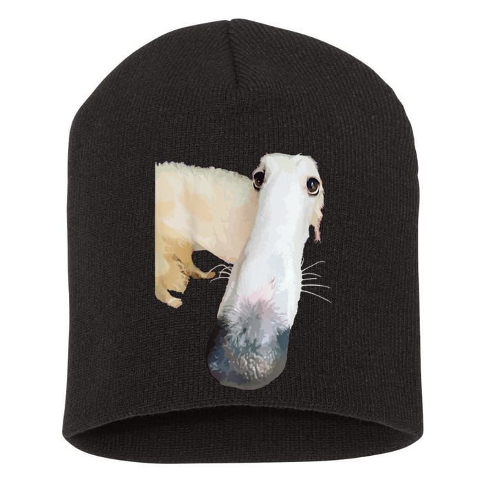 Borzoi Dog Meme Funny Long Nose Borzoi Russian Sighthound Short Acrylic Beanie