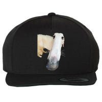 Borzoi Dog Meme Funny Long Nose Borzoi Russian Sighthound Wool Snapback Cap