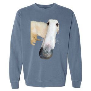 Borzoi Dog Meme Funny Long Nose Borzoi Russian Sighthound Garment-Dyed Sweatshirt