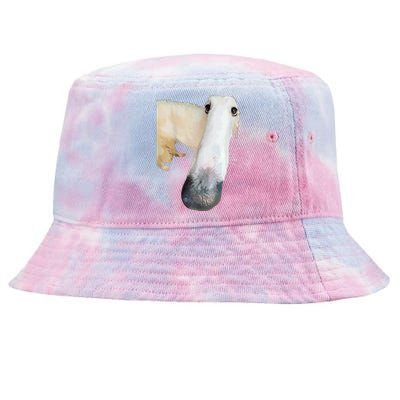 Borzoi Dog Meme Funny Long Nose Borzoi Russian Sighthound Tie-Dyed Bucket Hat