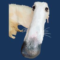 Borzoi Dog Meme Funny Long Nose Borzoi Russian Sighthound Infant Baby Jersey Bodysuit