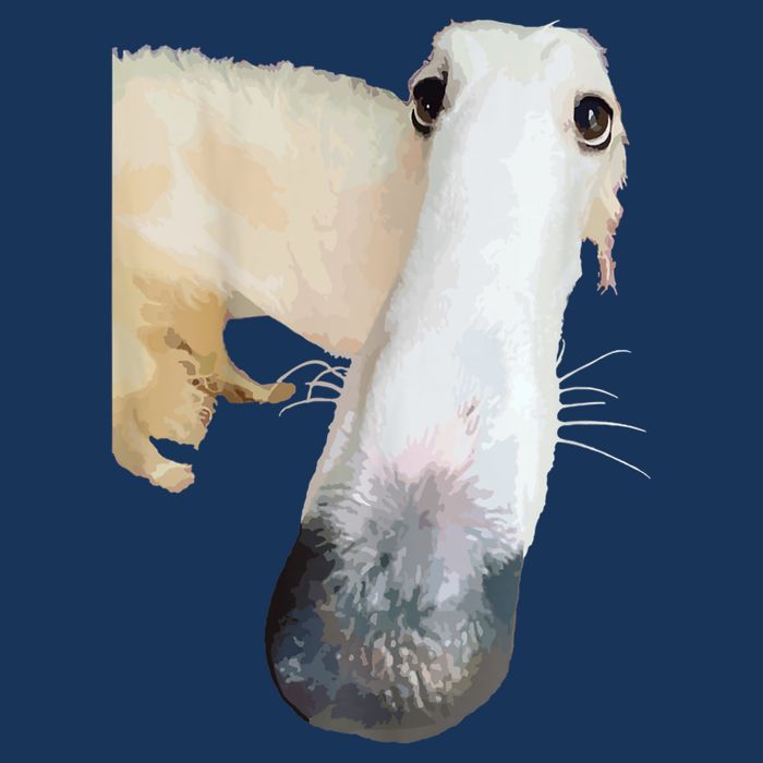 Borzoi Dog Meme Funny Long Nose Borzoi Russian Sighthound Infant Baby Jersey Bodysuit