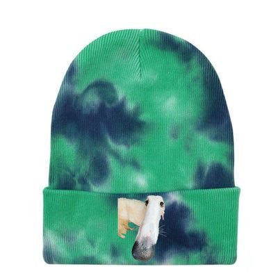 Borzoi Dog Meme Funny Long Nose Borzoi Russian Sighthound Tie Dye 12in Knit Beanie