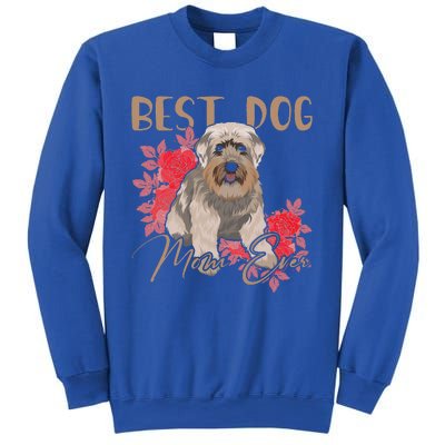 Best Dog Mom Ever Miniature Schnauzer Funny Mother's Sweatshirt