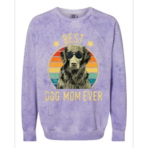 Best Dog Mom Ever FlatCoated Retriever Mother's Day Gift Colorblast Crewneck Sweatshirt