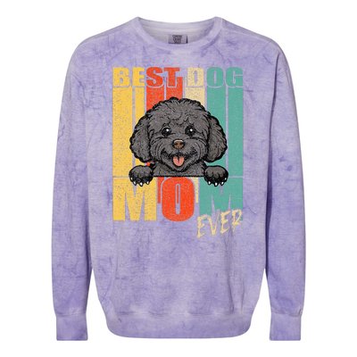 Best Dog Mom Ever Black Toy Poodle Mama Vintage Retro Colorblast Crewneck Sweatshirt