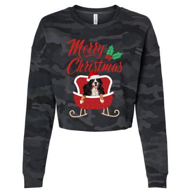 Bernese Dog Merry Christmas Design For The Holiday Season! Cropped Pullover Crew