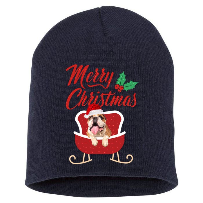 Bulldog Dog Merry Christmas Design For The Holiday Season! Short Acrylic Beanie