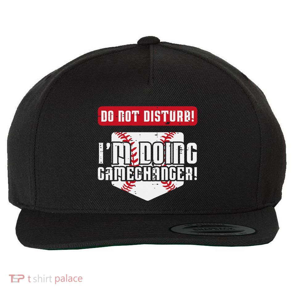 Baseball Do Not Disturb Doing Gamechanger Wool Snapback Cap