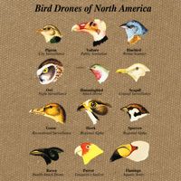 Bird Drones Of North America Cotton Canvas Backpack