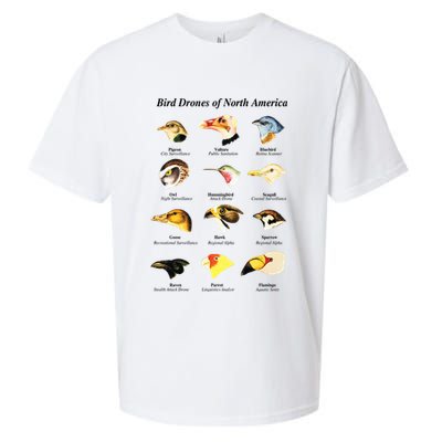 Bird Drones Of North America Sueded Cloud Jersey T-Shirt