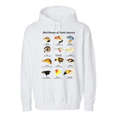 Bird Drones Of North America Garment-Dyed Fleece Hoodie