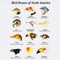 Bird Drones Of North America Cooling Performance Crew T-Shirt