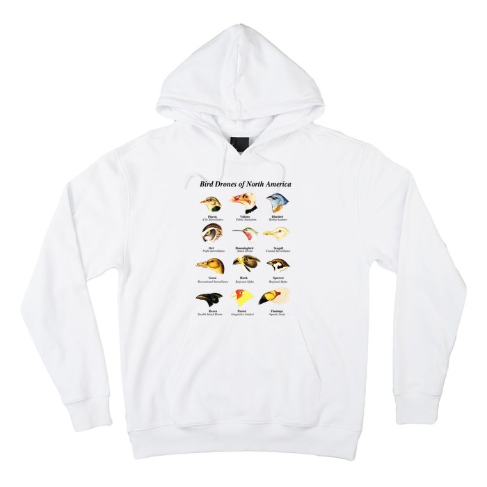 Bird Drones Of North America Hoodie